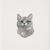Pet Lover's Bundle - Image 2